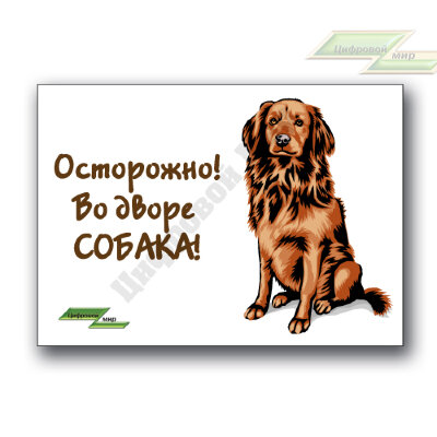 Табличка "Осторожно! Злая собака" (15х20 см, вариант D)