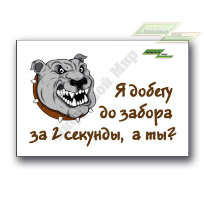Табличка "Осторожно! Злая собака" (15х20 см, вариант H) Табличка "Осторожно! Злая собака" (15х20 см, вариант H)