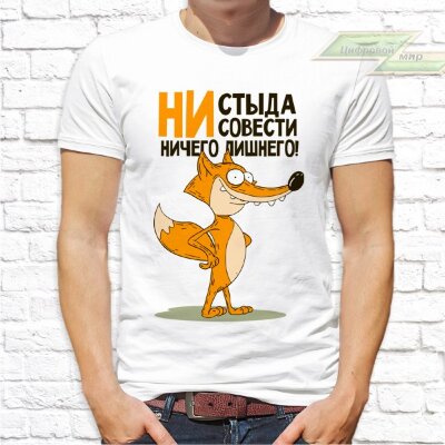 Мужская футболка с фото «Ни стыда ни совести ничего лишнего!»   