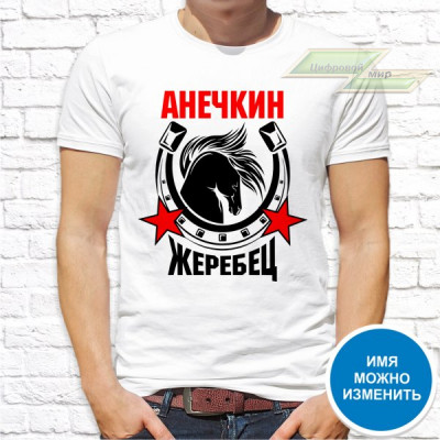 Мужская футболка с фото «Анечкин жеребец»    