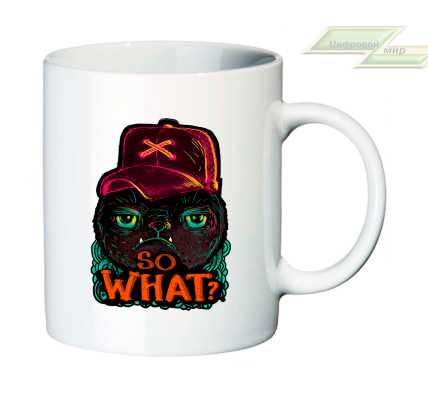 Креативная кружка "So what?"  