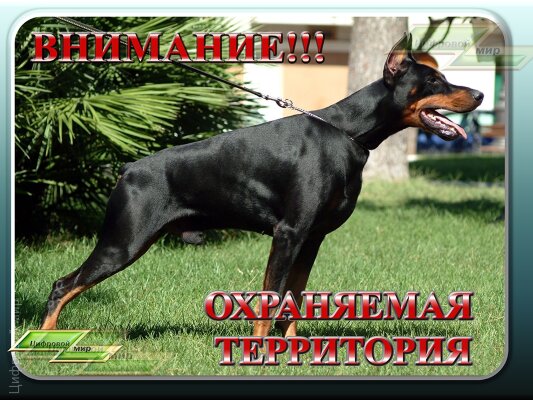Внимание! Охраняемая территория