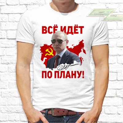 Мужская футболка с фото «Всё идёт по плану!»  