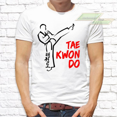 Мужская футболка с фото «TAEKWONDO»        