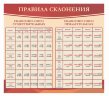 Школьные стенды "Оформление кабинета русского языка (Правила склонения)"        