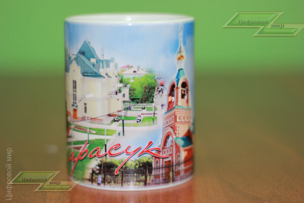 Сувенирная кружка (Карасук)
