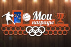 Медальница из фанеры баскетбол "Мои награды"
