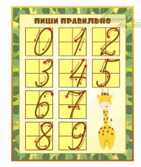 Оформление стендов "Стенды для начальной школы (Пиши правильно)"   